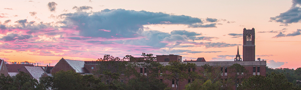 University Of Florida - Campus Tours